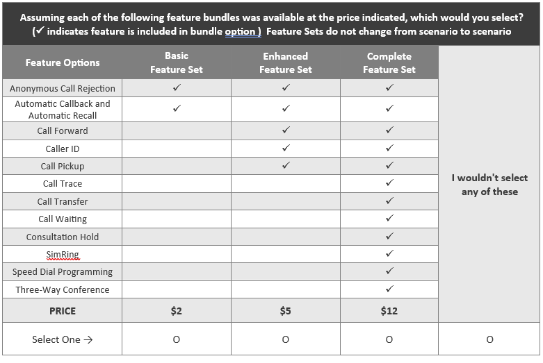 An example of what a respondent sees in an online survey that measures the value of the feature set. 