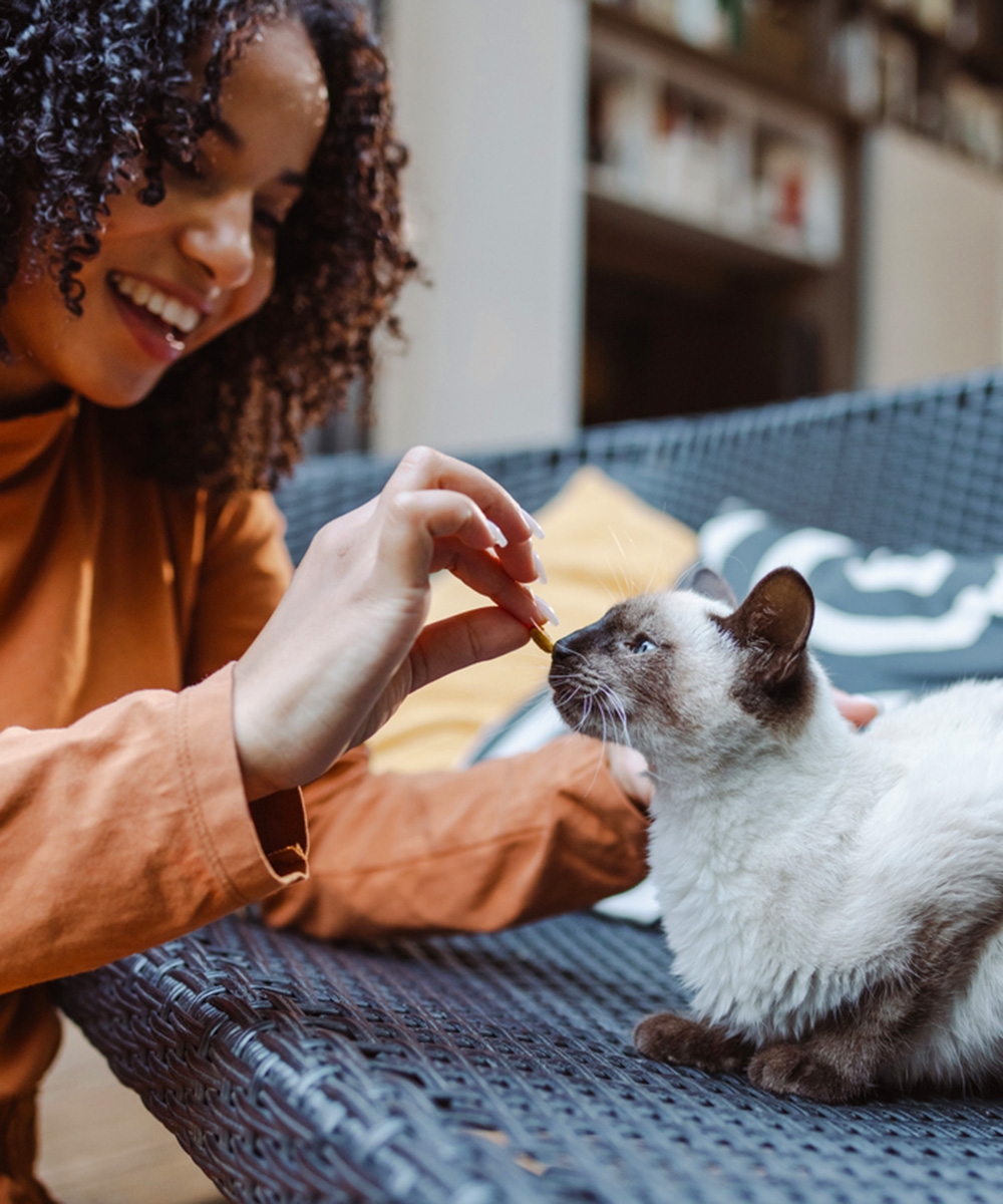 Will Sustainable & Alternative Pet Nutrition Redefine Pet Health?